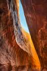 Leprechaun Canyon-one of a group of canyons called the Irish Canyons near Hanksville-Utah Art Print